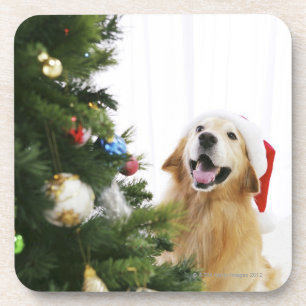 Golden rekwieg die naar de kerstboom kijkt drankjes onderzetter