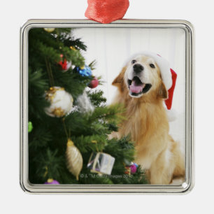 Golden rekwieg die naar de kerstboom kijkt metalen ornament