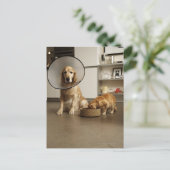 Golden rekwieg, hond met een kraag briefkaart (Staand voorkant)