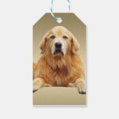 Golden rekwieg-kleurenschilderkunst cadeaulabel (Achterkant)