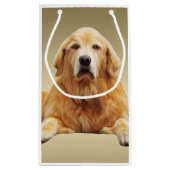 Golden rekwieg-kleurenschilderkunst klein cadeauzakje (Achterkant)