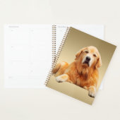 Golden rekwieg-kleurenschilderkunst planner (Display)