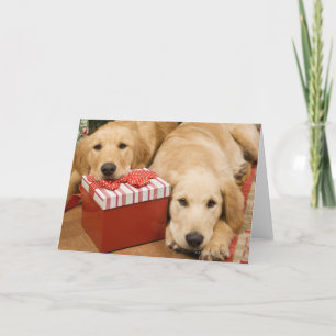 Golden rekwieg puppies met kerstcadeau feestdagen kaart