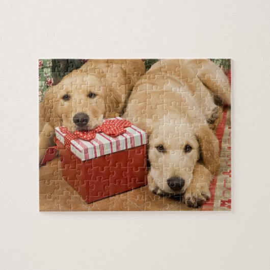 Golden rekwieg puppies met kerstcadeau legpuzzel (Horizontaal)