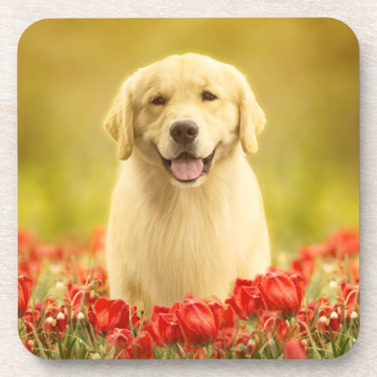 Golden Retirever in Red Flowers Bier Onderzetter (Voorkant)