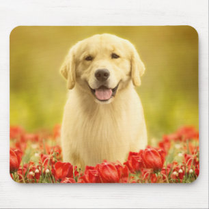 Golden Retirever in Red Flowers Muismat