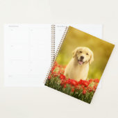 Golden Retirever in Red Flowers Planner (Display)