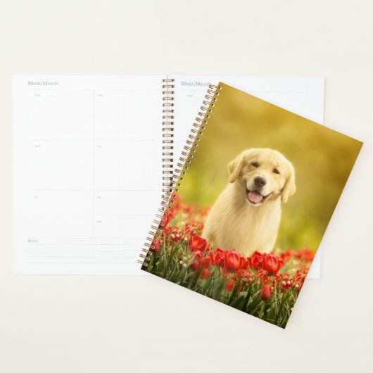 Golden Retirever in Red Flowers Planner (Display)
