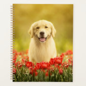 Golden Retirever in Red Flowers Planner (Voorkant)