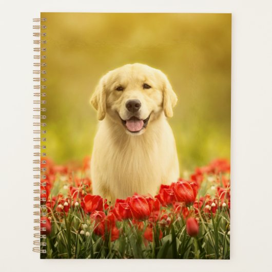 Golden Retirever in Red Flowers Planner (Voorkant)