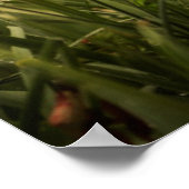 Golden Retirever in Red Flowers Poster (Hoek)