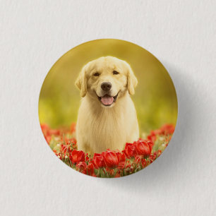 Golden Retirever in Red Flowers Ronde Button 3,2 Cm