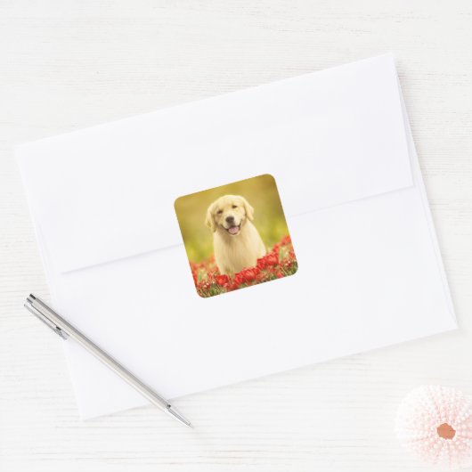Golden Retirever in Red Flowers Vierkante Sticker (Envelop)