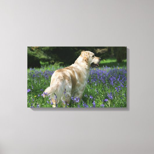Golden Retreiver in Flowers Canvas Afdruk (Voorkant)