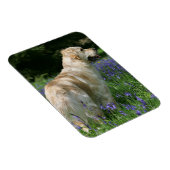 Golden Retreiver in Flowers Magneet (Rechterzijde)