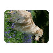 Golden Retreiver in Flowers Magneet (Horizontaal)