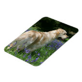 Golden Retreiver in Flowers Magneet (Linkerzijde)