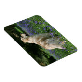 Golden Retreiver in Flowers Magneet (Rechterzijde)