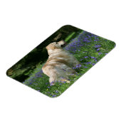 Golden Retreiver in Flowers Magneet (Linkerzijde)