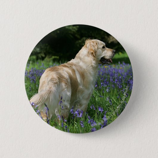 Golden Retreiver in Flowers Ronde Button 5,7 Cm (Voorkant)