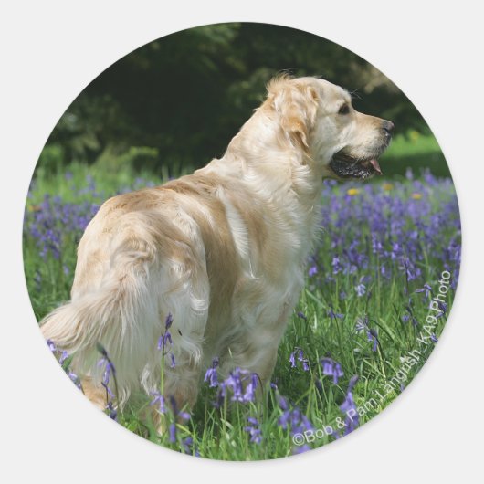Golden Retreiver in Flowers Ronde Sticker (Voorkant)