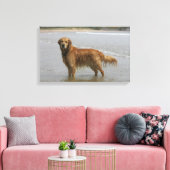 Golden Retreiver in het Zee Canvas Afdruk (Insitu (Woonkamer))
