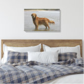 Golden Retreiver in het Zee Canvas Afdruk (Insitu (Slaapkamer))