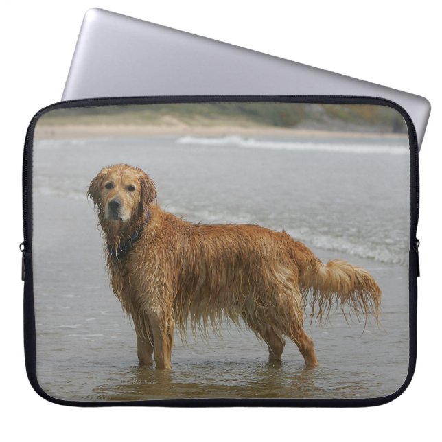 Golden Retreiver in het Zee Laptop Sleeve (Voorkant)