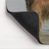 Golden Retreiver in het Zee Muismat (Hoek)