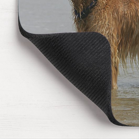 Golden Retreiver in het Zee Muismat (Hoek)