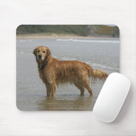 Golden Retreiver in het Zee Muismat (Met muis)