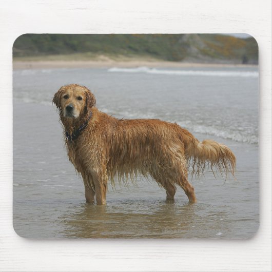 Golden Retreiver in het Zee Muismat (Voorkant)