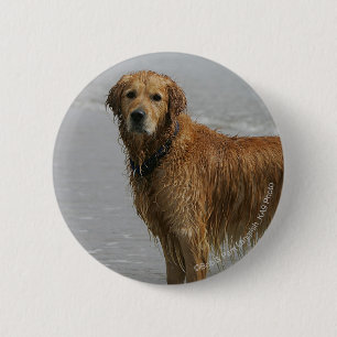 Golden Retreiver in het Zee Ronde Button 5,7 Cm