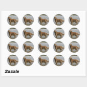 Golden Retreiver in het Zee Ronde Sticker (Vel)