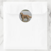 Golden Retreiver in het Zee Ronde Sticker (Tas)