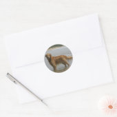 Golden Retreiver in het Zee Ronde Sticker (Envelop)