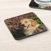 Golden Retreiver Puppy Bier Onderzetter (Linkerzijde)