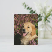 Golden Retreiver Puppy Briefkaart (Staand voorkant)