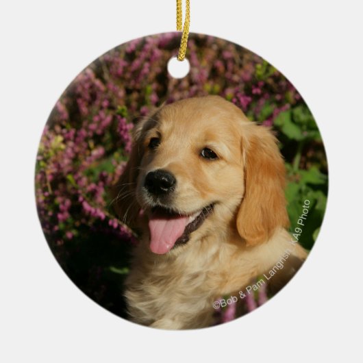 Golden Retreiver Puppy Keramisch Ornament (Voorkant)