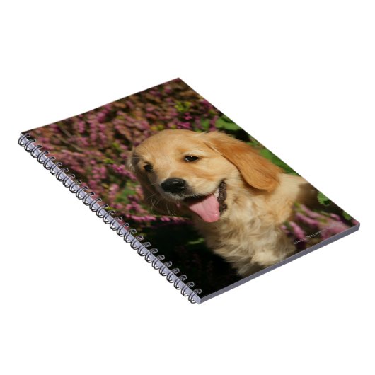Golden Retreiver Puppy Notitieboek (Rechterzijde)