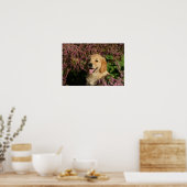 Golden Retreiver Puppy Poster (Keuken)