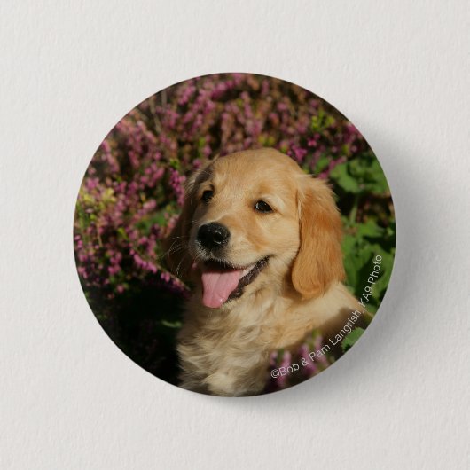 Golden Retreiver Puppy Ronde Button 5,7 Cm (Voorkant)