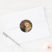 Golden Retreiver Puppy Ronde Sticker (Envelop)