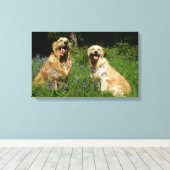 Golden Retreivers in Grass Canvas Afdruk (Insitu (Houten vloer))