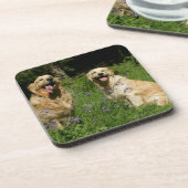 Golden Retreivers in Grass Drankjes Onderzetter (Linkerzijde)