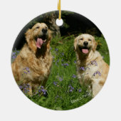 Golden Retreivers in Grass Keramisch Ornament (Achterkant)