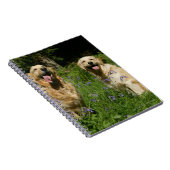 Golden Retreivers in Grass Notitieboek (Rechterzijde)