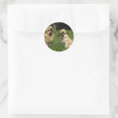 Golden Retreivers in Grass Ronde Sticker (Tas)