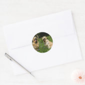 Golden Retreivers in Grass Ronde Sticker (Envelop)