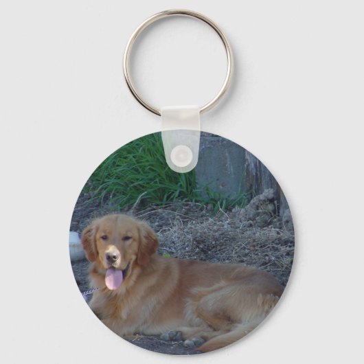 Golden Retrieve Sleutelhanger (Voorkant)